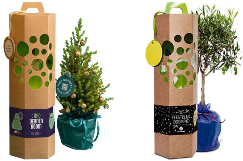 kerstmakelaar-nieuws-blog-kerstboom-olijfboom