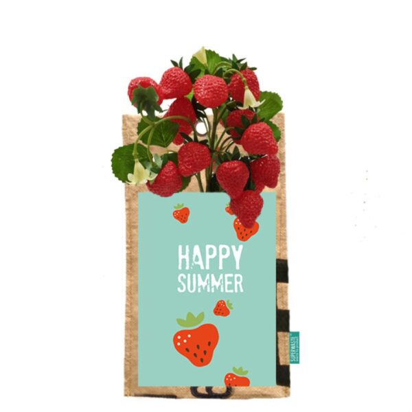 Kerstmakelaar-aardbeienplantje-aardbeiensmoothie-happysummer