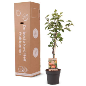 kerstmakelaar-kerstcadeau-fruitboom-2025