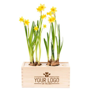 Kerstmakelaar-lentecadeau-bloomsoutofthebox-2026